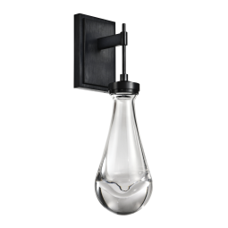 Vaso LED 1-Light Heavy Clear Rain Drop Glass Satin Brushed Black Wall Sconce