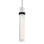 Zigrina 12" Clear Glass Pendant