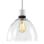 Zigrina Glass Dome Pendant