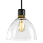 Zigrina Glass Dome Pendant